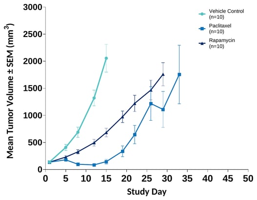 Mean Tumor Volume: Subcutaneous AN3CA Human Endometrial Carcinoma in Female Nude Mice