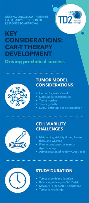 Considerations for CAR-T Therapy Development