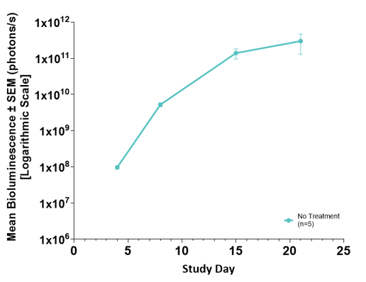 Mean BLI Signal: Disseminated NALM6-Fluc-GFP Human ALL in Female CIEA NOG Mice