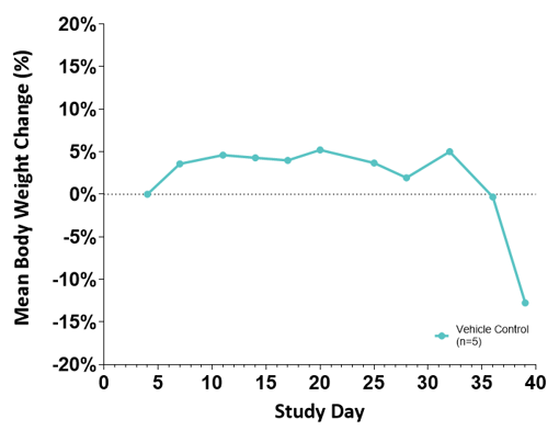 Mean Body Weight Change: Disseminated MM.1S-Luc Human Multiple Myeloma in Female NSG Mice