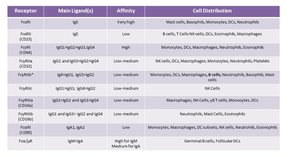 Fc Receptors (FcR) and their Relevance to Flow Cytometry