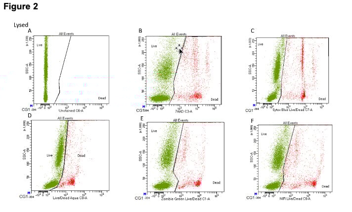 Live Dead Measurement and Cell Viability