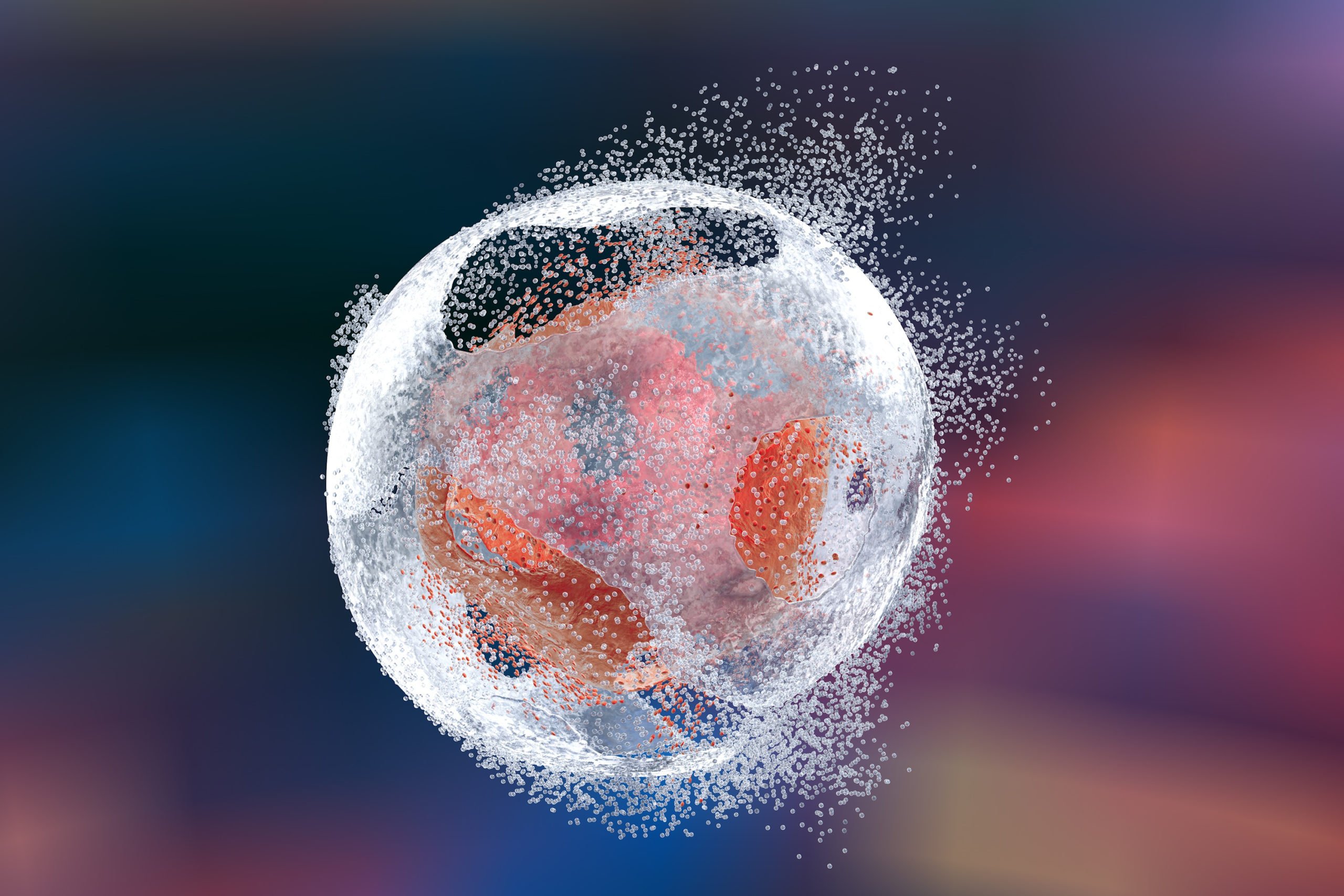 Live Dead Measurement and Cell Viability