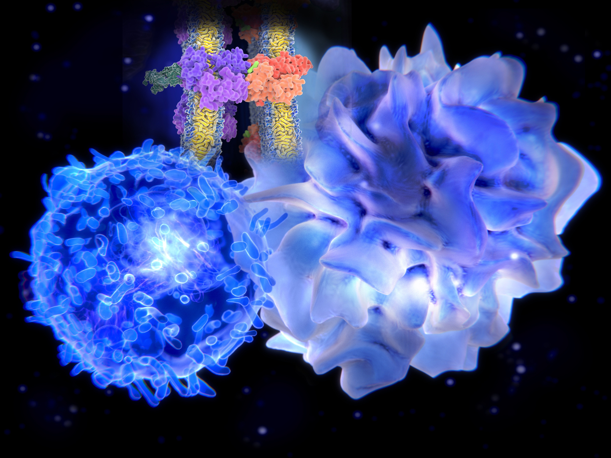 Using Flow Cytometry to Immunophenotype Dendritic Cells: Master Regulators of the Immune System