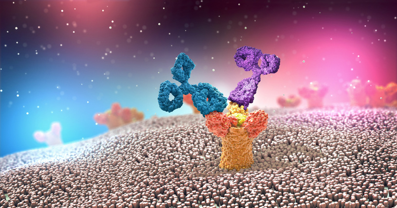 Fc Receptors (FcR) and their Relevance to Flow Cytometry