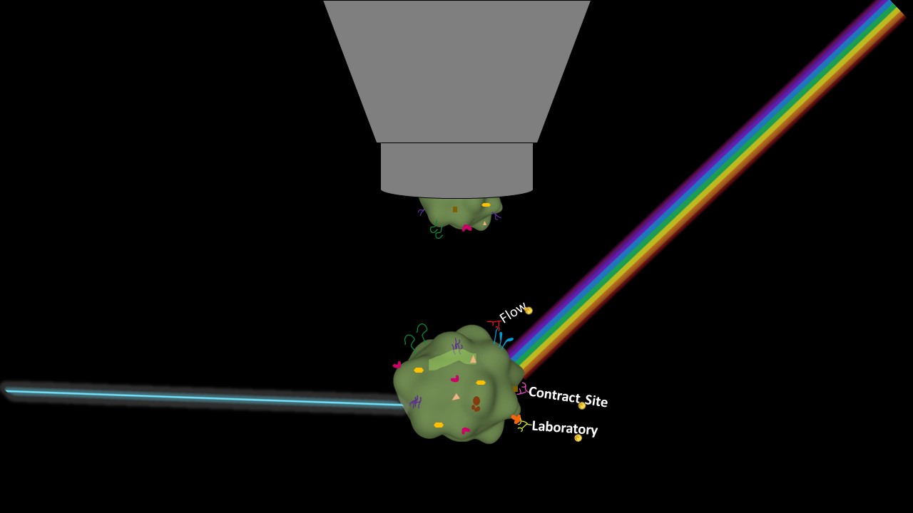 Large Panel Design to Identify Human and Mouse Lymphocyte Subsets Using Cytek® Aurora Flow Cytometers