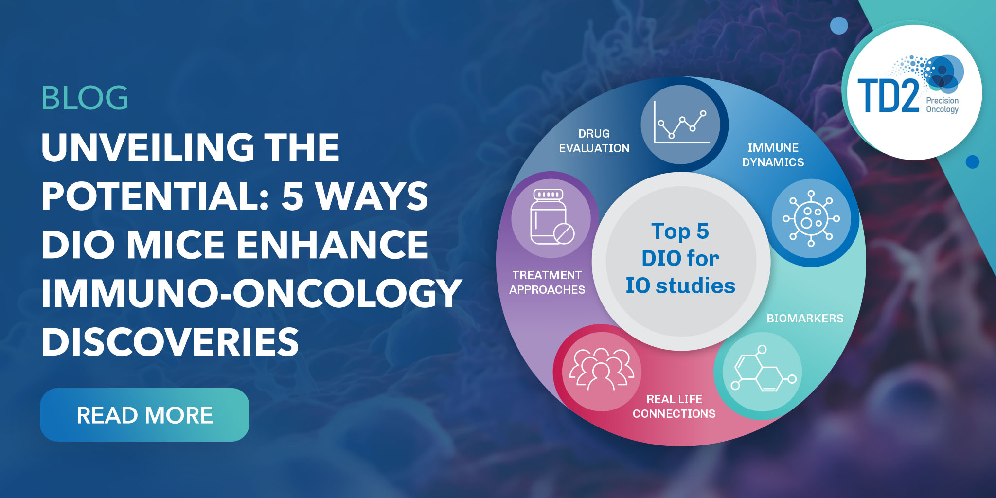 Unveiling the Potential: 5 Ways DIO Mice Enhance Immuno-Oncology Discoveries