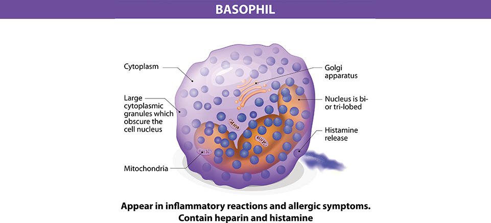 The Basophil Activation Test: An Application of Flow Cytometry for Allergy Testing in Clinical Trials