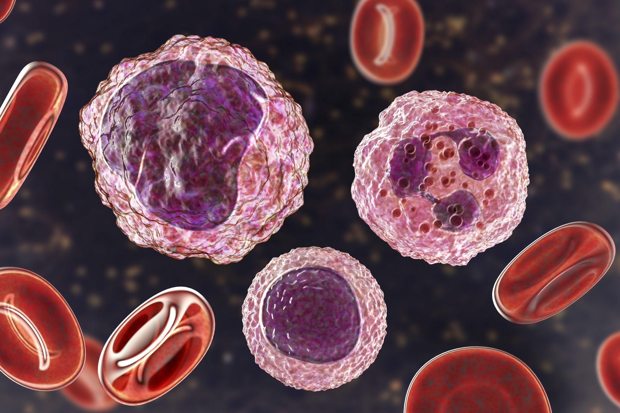 Using Flow Cytometry to Characterize Myeloid Derived Suppressor Cells (MDSC)