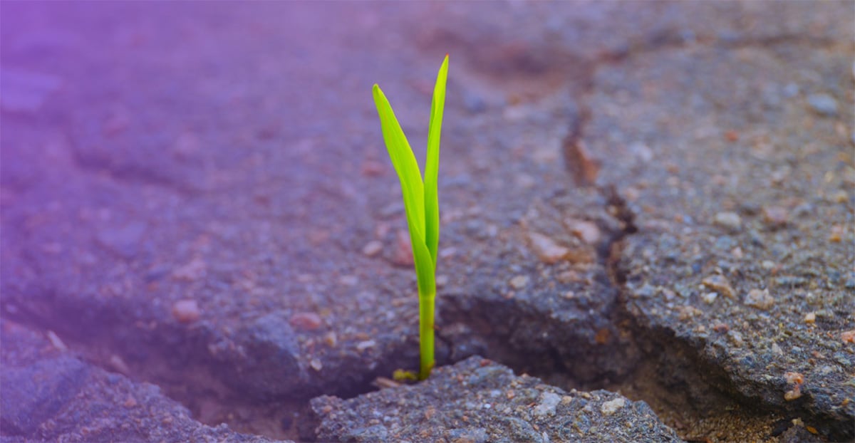 Outrunning Resistance: Why Preclinical Insight Is the Key to Durable Oncology Therapies
