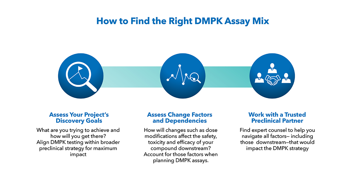 The A-Z Guide of DMPK Assays and How to Find the Right One