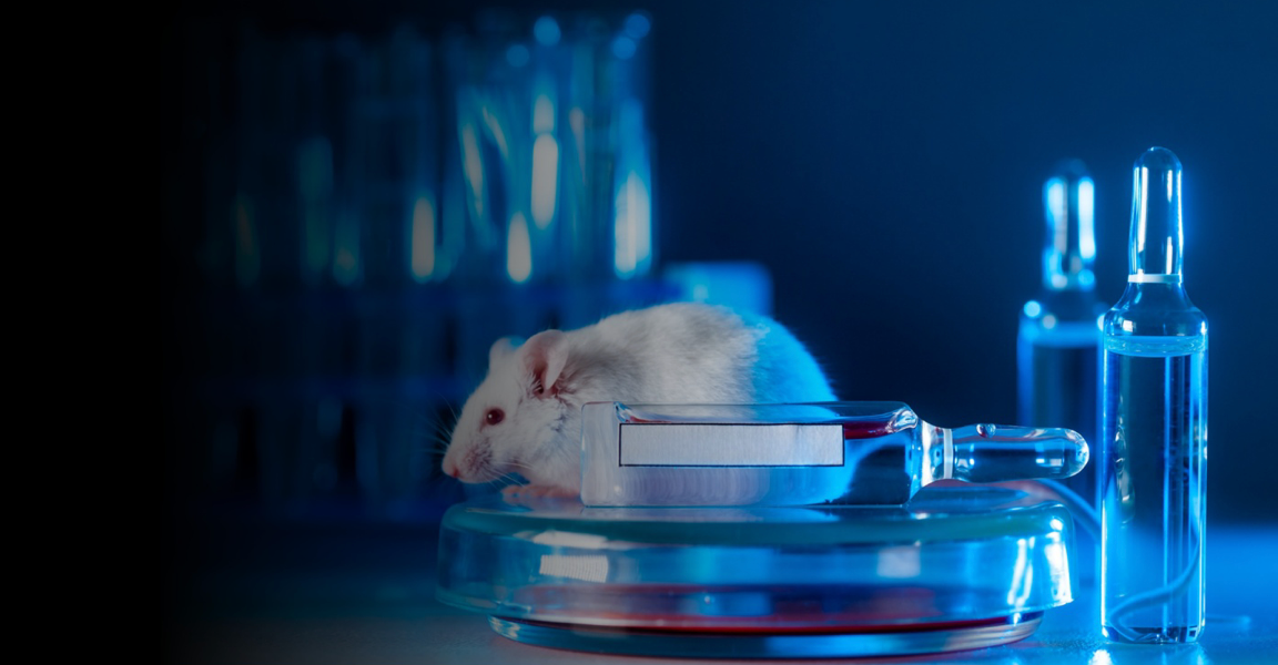 The Rise of Humanized Mouse Models in Oncology: What Drug Developers Need to Know