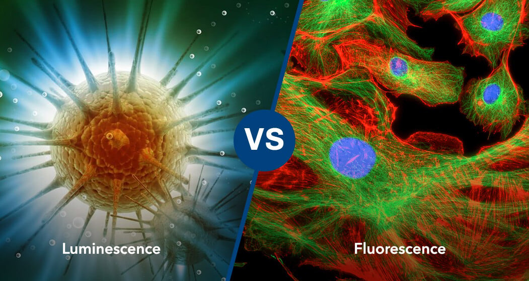 Unlocking the Potential: Optical Luminescence vs. Fluorescence Imaging in Preclinical Oncology Research