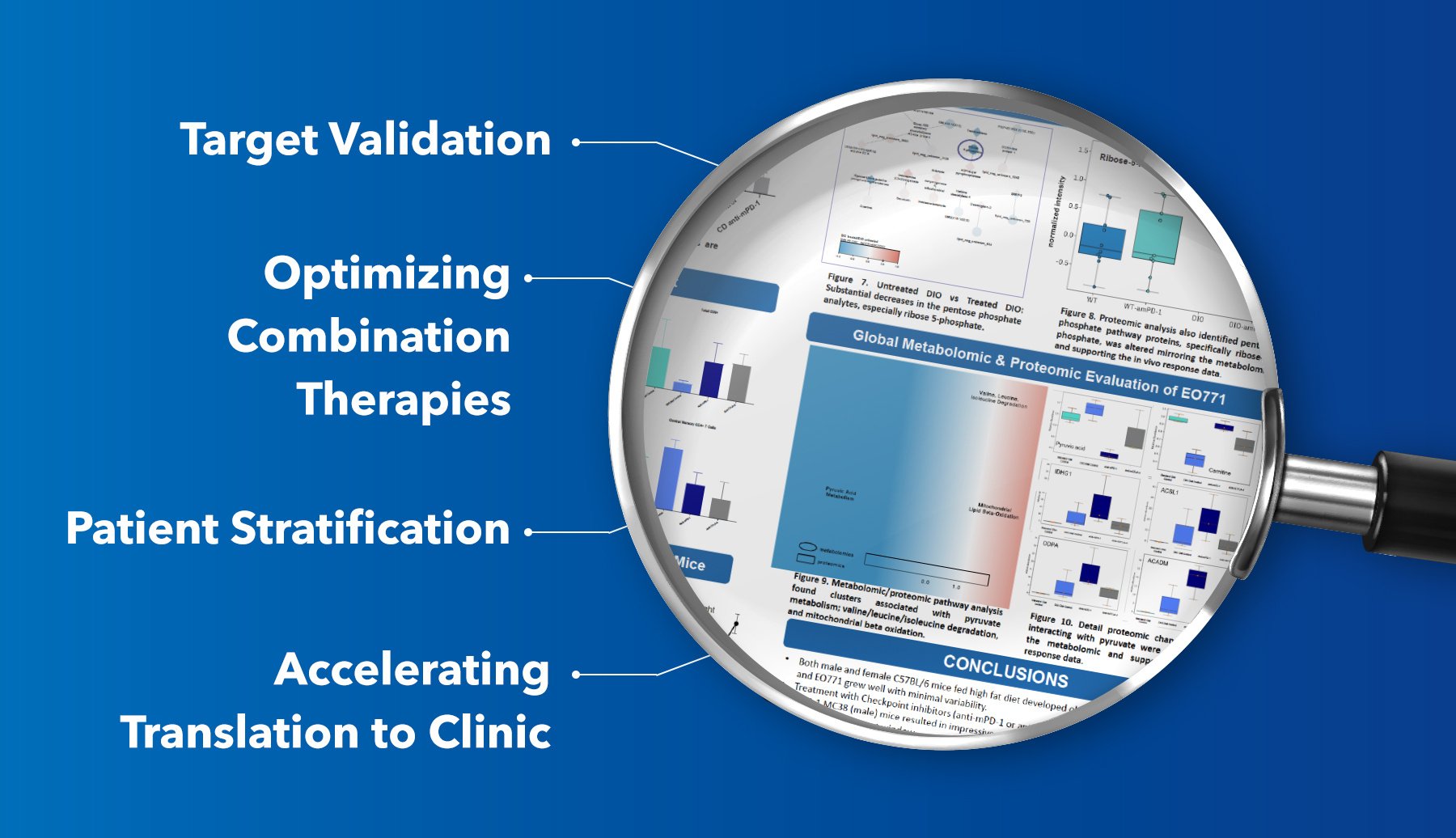 The Importance of Incorporating Metabolomic and Proteomic Screening in Preclinical Oncology Studies