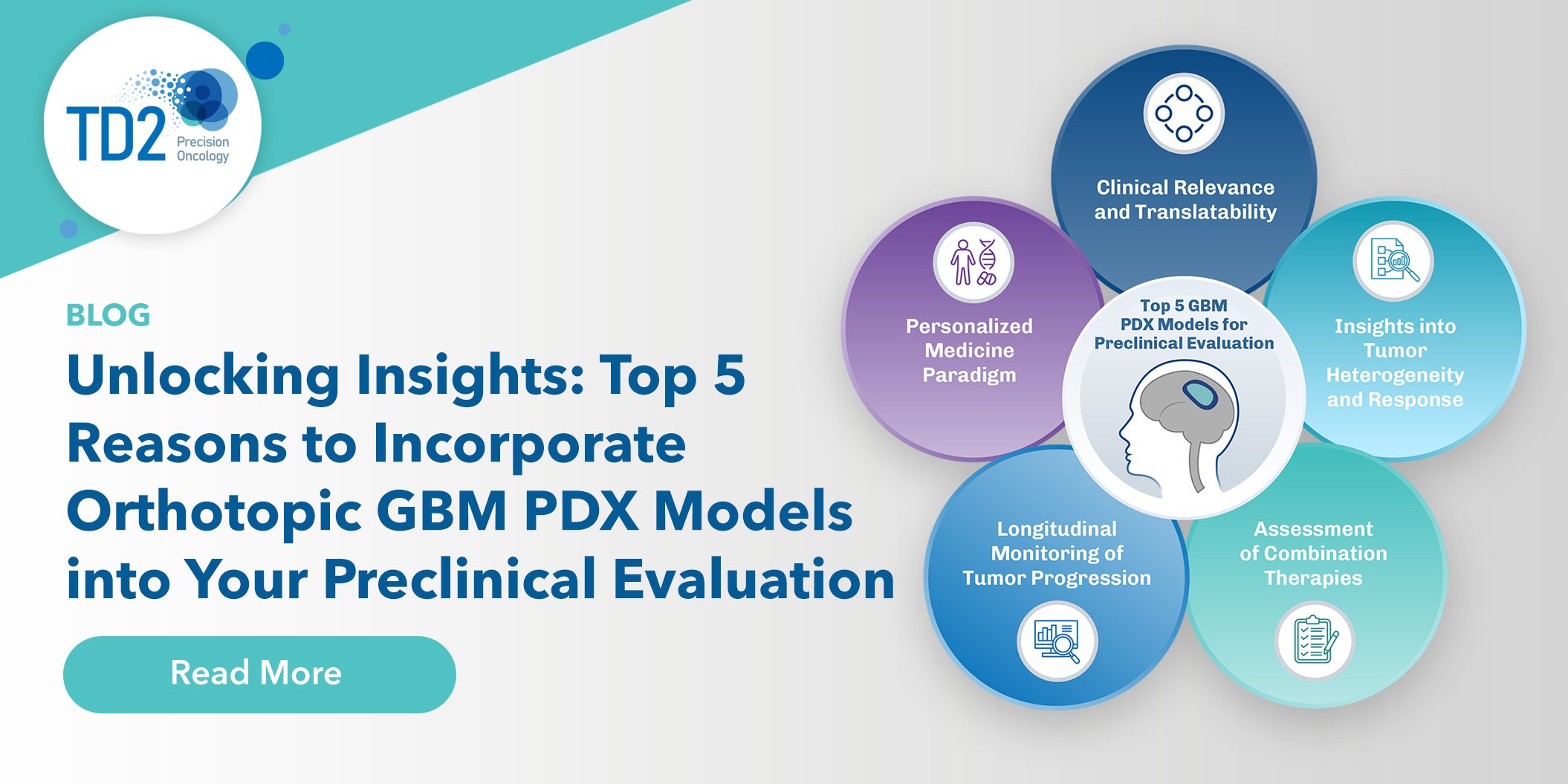 Unlocking Insights: Top 5 Reasons to Incorporate Orthotopic GBM PDX Models into Your Preclinical Evaluation