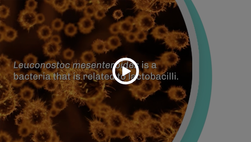LAB in focus: Leuconostoc mesenteroids in Health and Industry